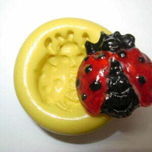 Ladybug