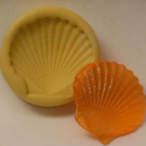 Seashell large