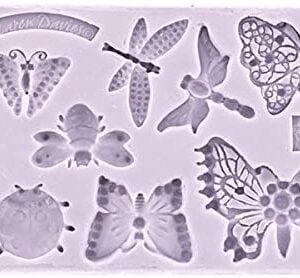 Molde butterfly and insects