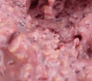 Praliné de Frutos Vermelhos