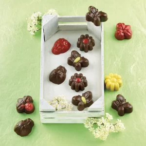 Molde Chocolate Spring Life